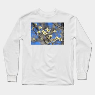 Dogwood In Bloom Long Sleeve T-Shirt